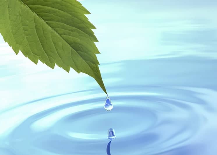 What is homeopathy video
